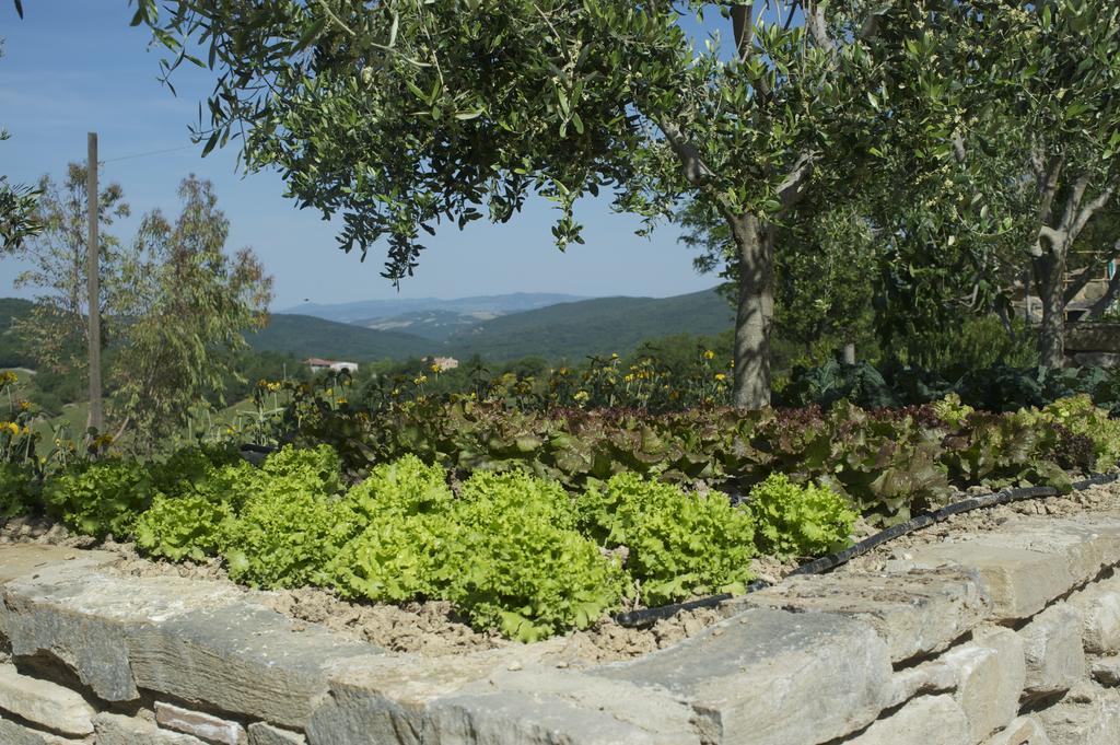 Agriturismo Erta Villa Casole dʼElsa Eksteriør billede