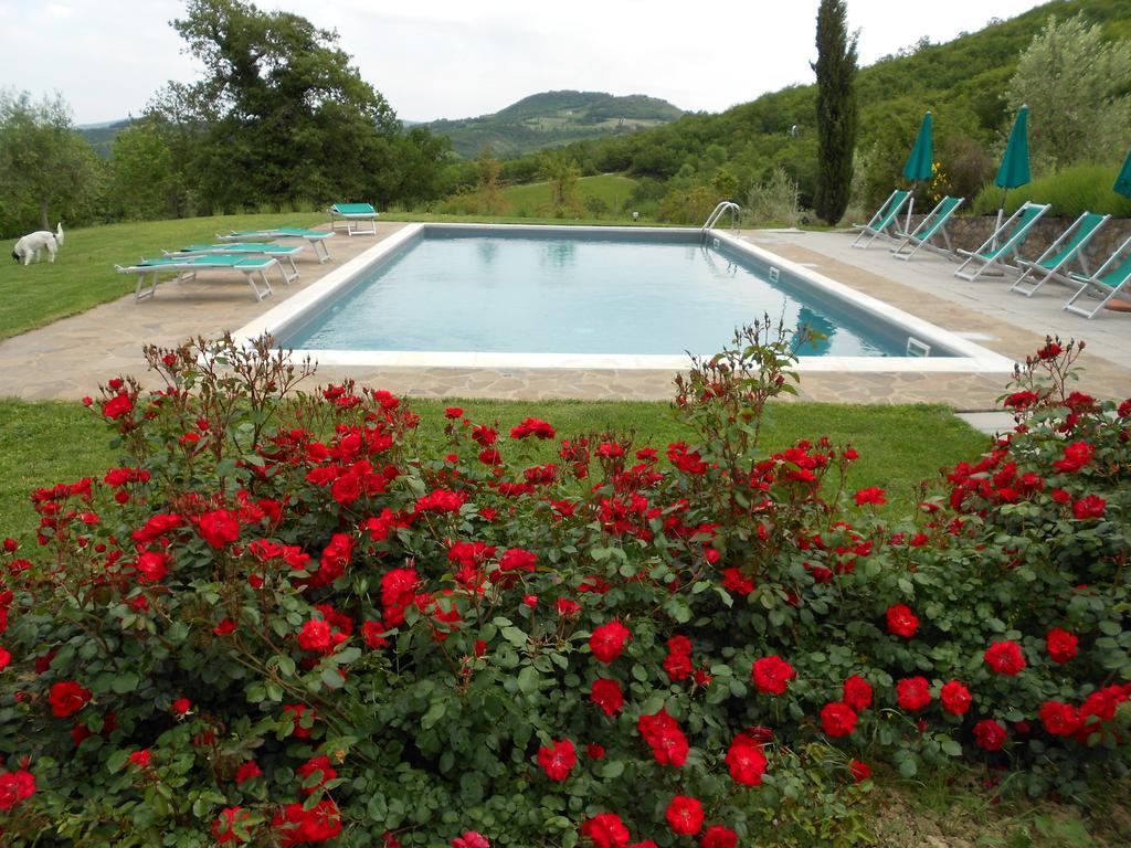 Agriturismo Erta Villa Casole dʼElsa Eksteriør billede
