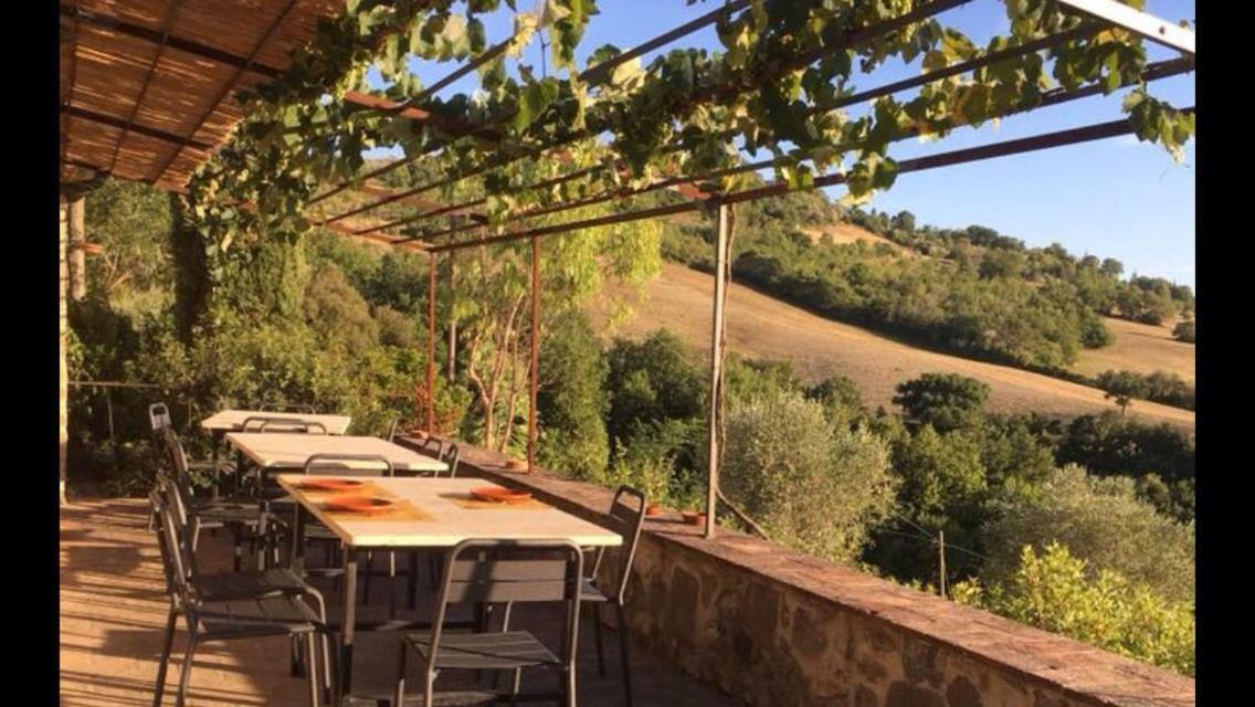 Agriturismo Erta Villa Casole dʼElsa Eksteriør billede