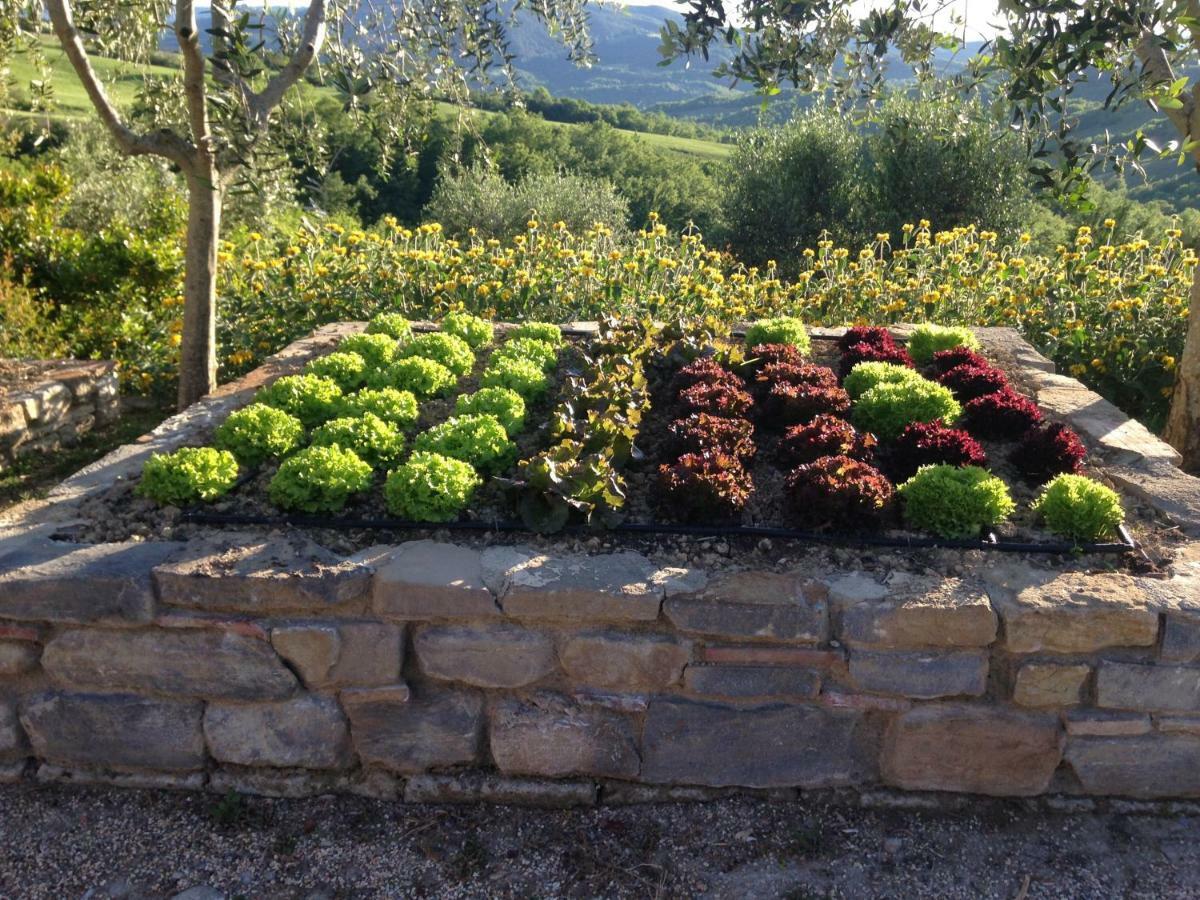 Agriturismo Erta Villa Casole dʼElsa Eksteriør billede