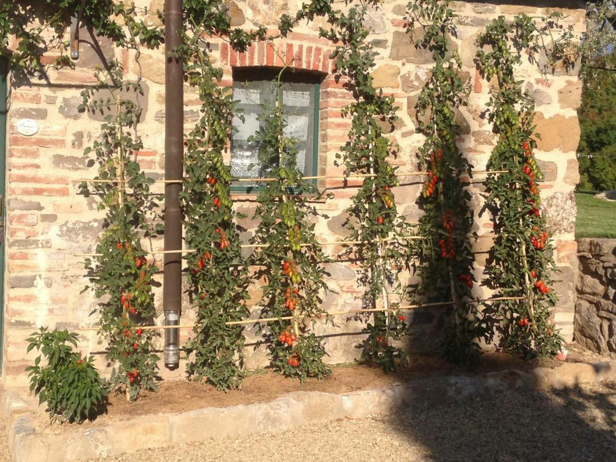 Agriturismo Erta Villa Casole dʼElsa Eksteriør billede
