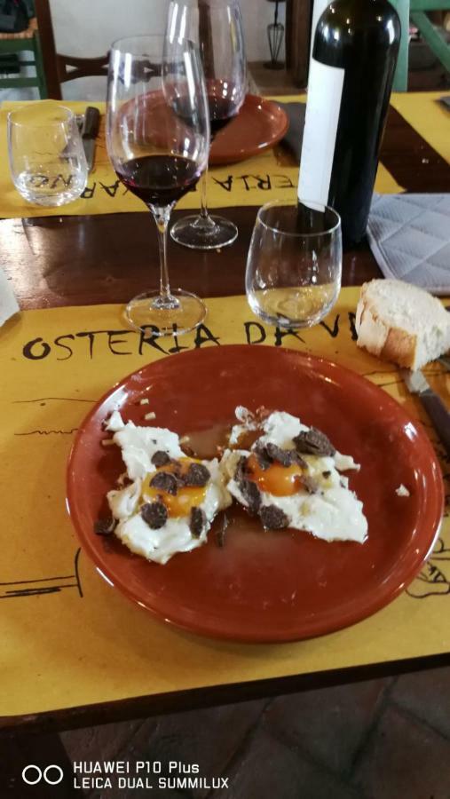 Agriturismo Erta Villa Casole dʼElsa Eksteriør billede