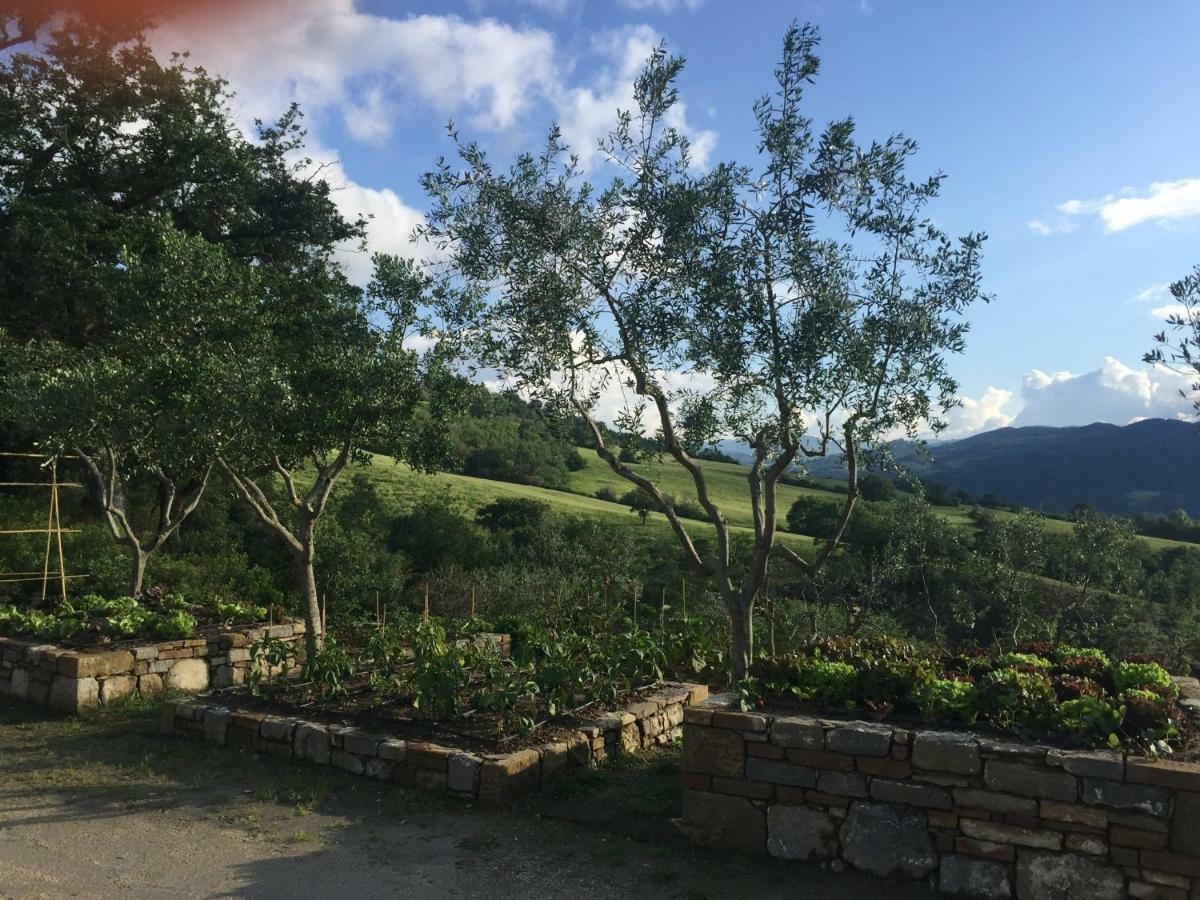 Agriturismo Erta Villa Casole dʼElsa Eksteriør billede